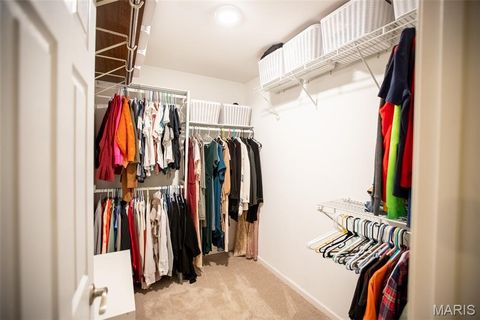 Tiny photo for 260 Monroe Mill Drive, Ballwin, MO 63011 (MLS # 25081327)