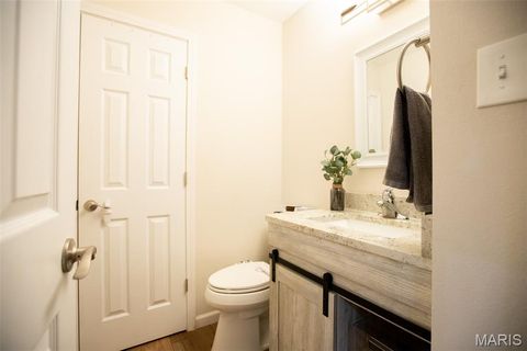 Tiny photo for 260 Monroe Mill Drive, Ballwin, MO 63011 (MLS # 25081327)