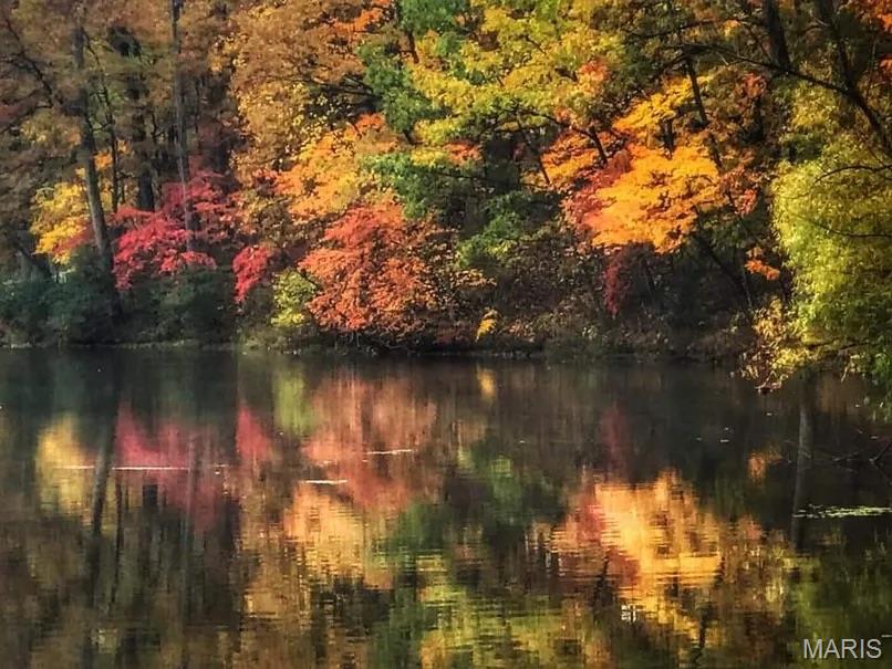 Dogwood Lakes - Land