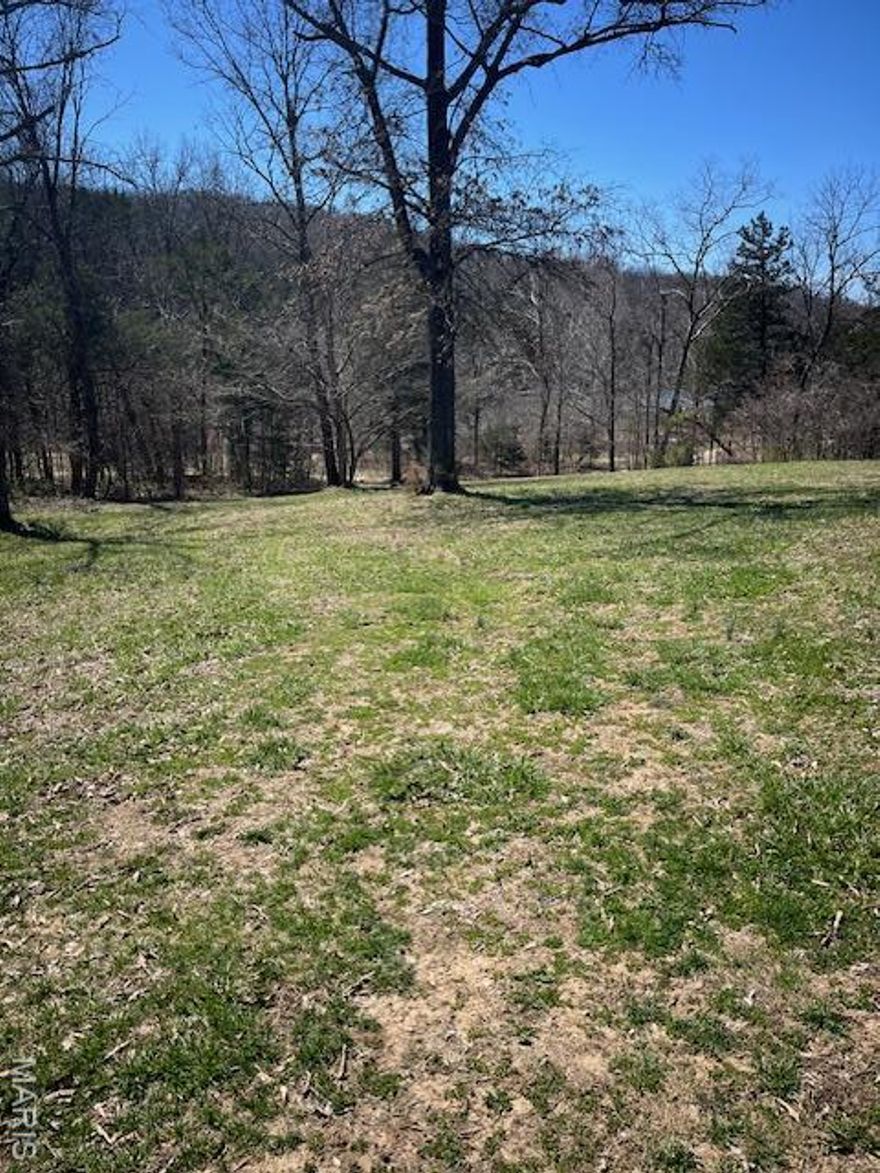 Get ready to build on this 6 acre lot located in the Big Woods Lake Community on the south end of Desoto.  There is electric onsite, a well that needs a new pump, and septic system that needs updated. Lot has recently been cleared but there is still plenty of woods for privacy. This community is made up of large, private wooded lots (often 5+ acres each), featuring no strict building codes, and allowances for camping, hunting, and RV use. You have access to community lakes and the Big River for fishing, swimming, and boating. This subdivision was designed for nature enthusiasts and those seeking a private, rural atmosphere while still being within driving distance of Hwy 21 for easy commute and the City of DeSoto and all it has to offer.