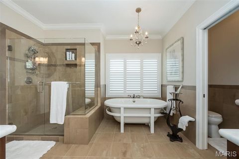 Tiny photo for 1519 Mallard Landing Court, Chesterfield, MO 63017 (MLS # 25079311)