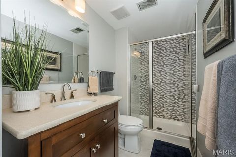 Tiny photo for 1519 Mallard Landing Court, Chesterfield, MO 63017 (MLS # 25079311)