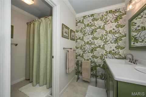 Tiny photo for 1519 Mallard Landing Court, Chesterfield, MO 63017 (MLS # 25079311)