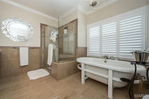 Tiny photo for 1519 Mallard Landing Court, Chesterfield, MO 63017 (MLS # 25079311)