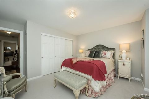 Tiny photo for 1519 Mallard Landing Court, Chesterfield, MO 63017 (MLS # 25079311)