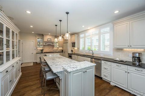 Tiny photo for 1519 Mallard Landing Court, Chesterfield, MO 63017 (MLS # 25079311)