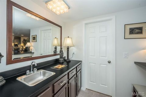 Tiny photo for 1519 Mallard Landing Court, Chesterfield, MO 63017 (MLS # 25079311)