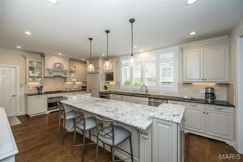 Tiny photo for 1519 Mallard Landing Court, Chesterfield, MO 63017 (MLS # 25079311)