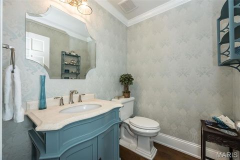 Tiny photo for 1519 Mallard Landing Court, Chesterfield, MO 63017 (MLS # 25079311)