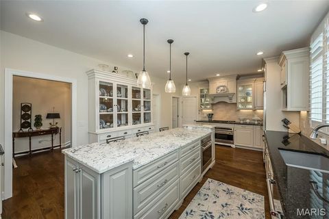 Tiny photo for 1519 Mallard Landing Court, Chesterfield, MO 63017 (MLS # 25079311)