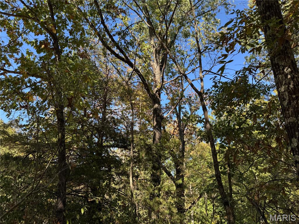 Lake Timerline Plat 23 - Land