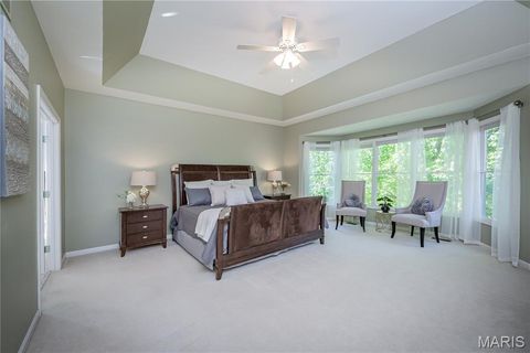 Tiny photo for 343 Pine Bend Drive, Chesterfield, MO 63005 (MLS # 26024348)