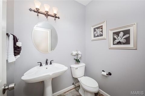 Tiny photo for 343 Pine Bend Drive, Chesterfield, MO 63005 (MLS # 26024348)