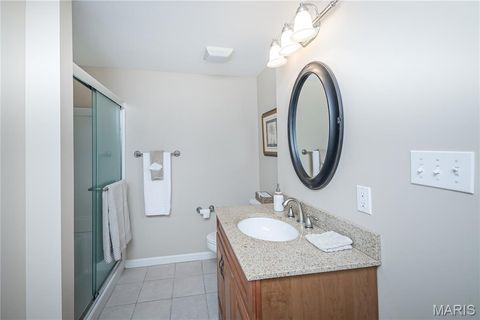 Tiny photo for 343 Pine Bend Drive, Chesterfield, MO 63005 (MLS # 26024348)