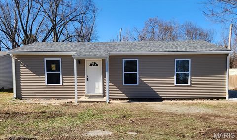 313 McKinley Avenue Warrenton MO 63383