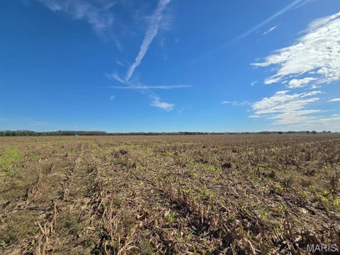 Tiny photo for 30510 State Hwy P, Canton, MO 63435 (MLS # 26067913)