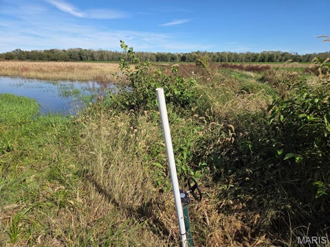 Tiny photo for 30510 State Hwy P, Canton, MO 63435 (MLS # 26067913)