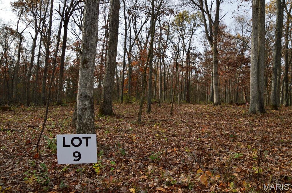 Serenity Lake Estates - Land