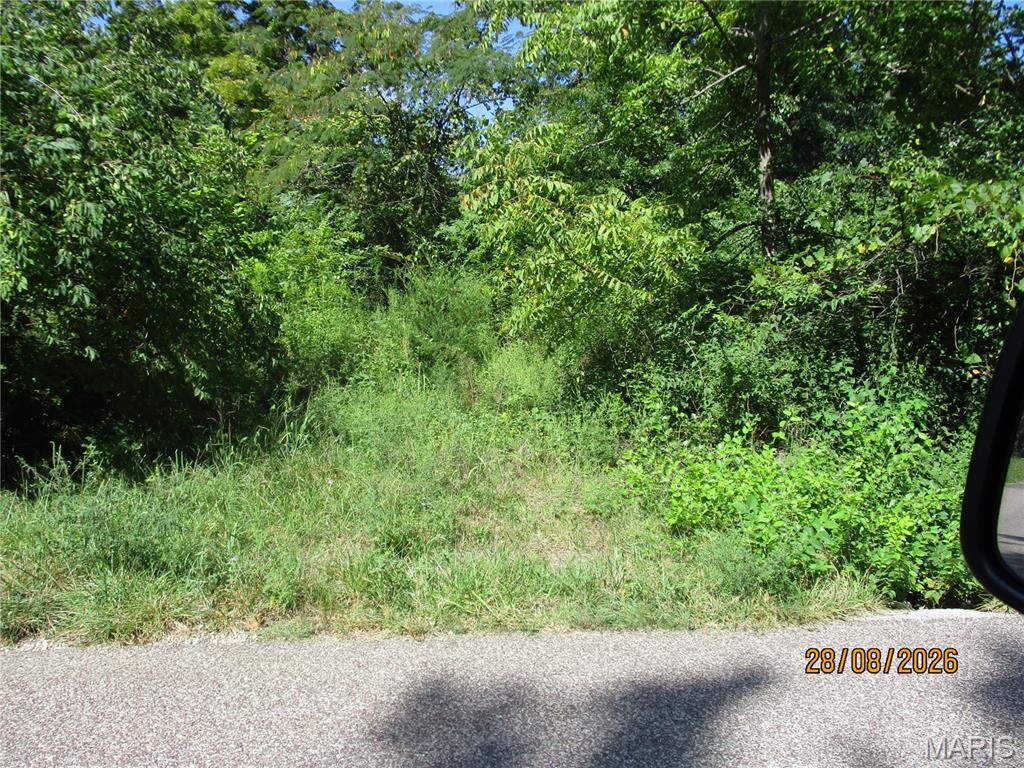 841 Shady Lane