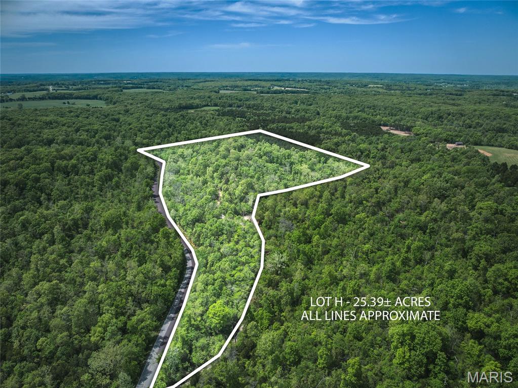 Spring Bluff Farms - Land