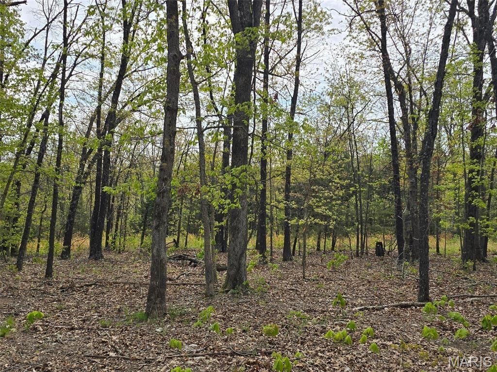 Photo of Tract Q Galaxy Lane, Lebanon, MO 65536 (MLS # 26019781)
