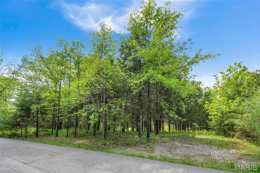 900 Silver Fox Drive