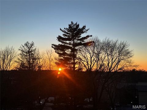 Tiny photo for 526 Sarah Lane #41, Creve Coeur, MO 63141 (MLS # 26003233)