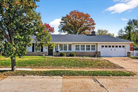 Photo of 1238 Woodgate Drive, Kirkwood, MO 63122 (MLS # 25075890)