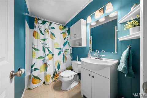 Tiny photo for 837 Greeley Avenue, Webster Groves, MO 63119 (MLS # 26044798)