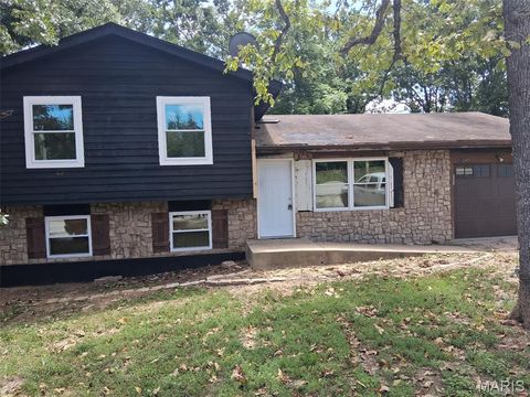 11247 Mapaville Hematite Road Festus MO 63028