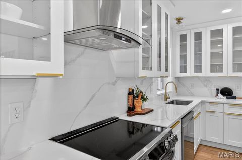 Tiny photo for 6409 Sutherland Avenue, St Louis, MO 63109 (MLS # 26018845)