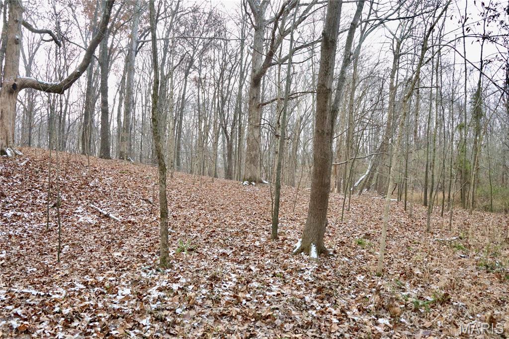 00 North Maysville Lane