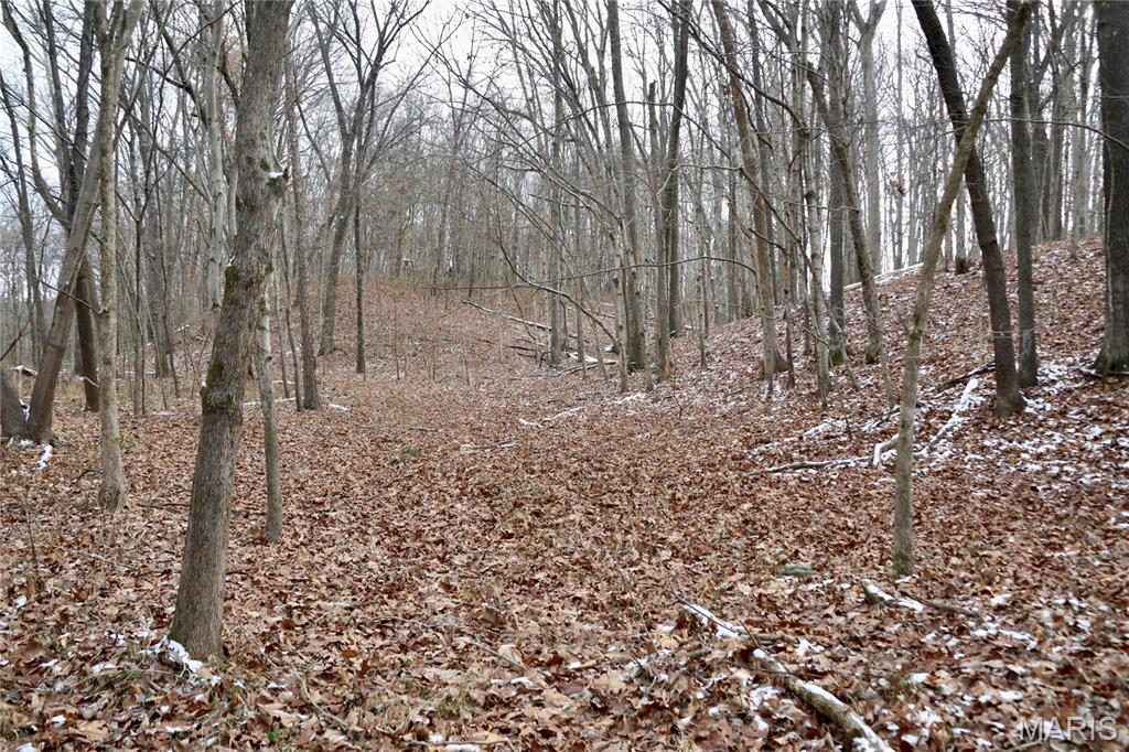 00 North Maysville Lane