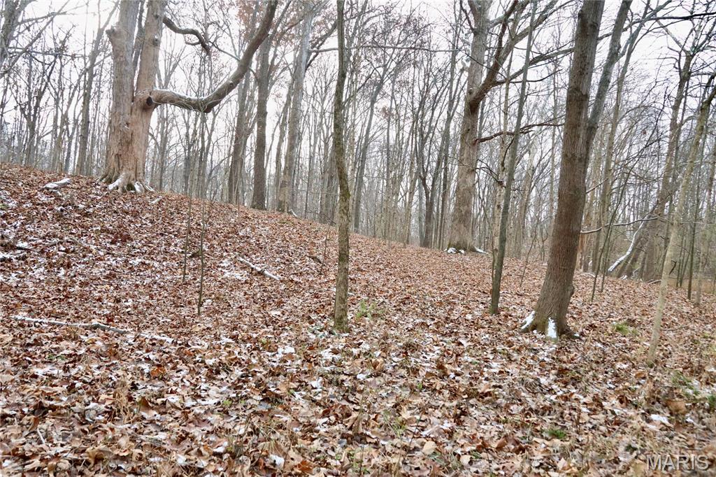 00 North Maysville Lane