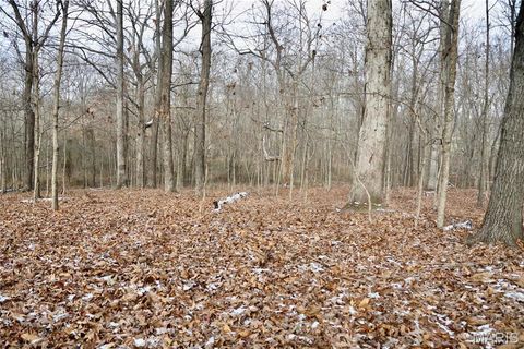 00 North Maysville Lane Mount Vernon IL 62864