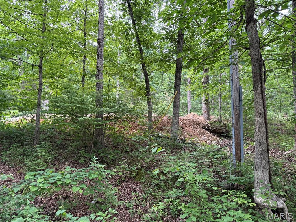 Snow Hollow Lake Subdivison - Land