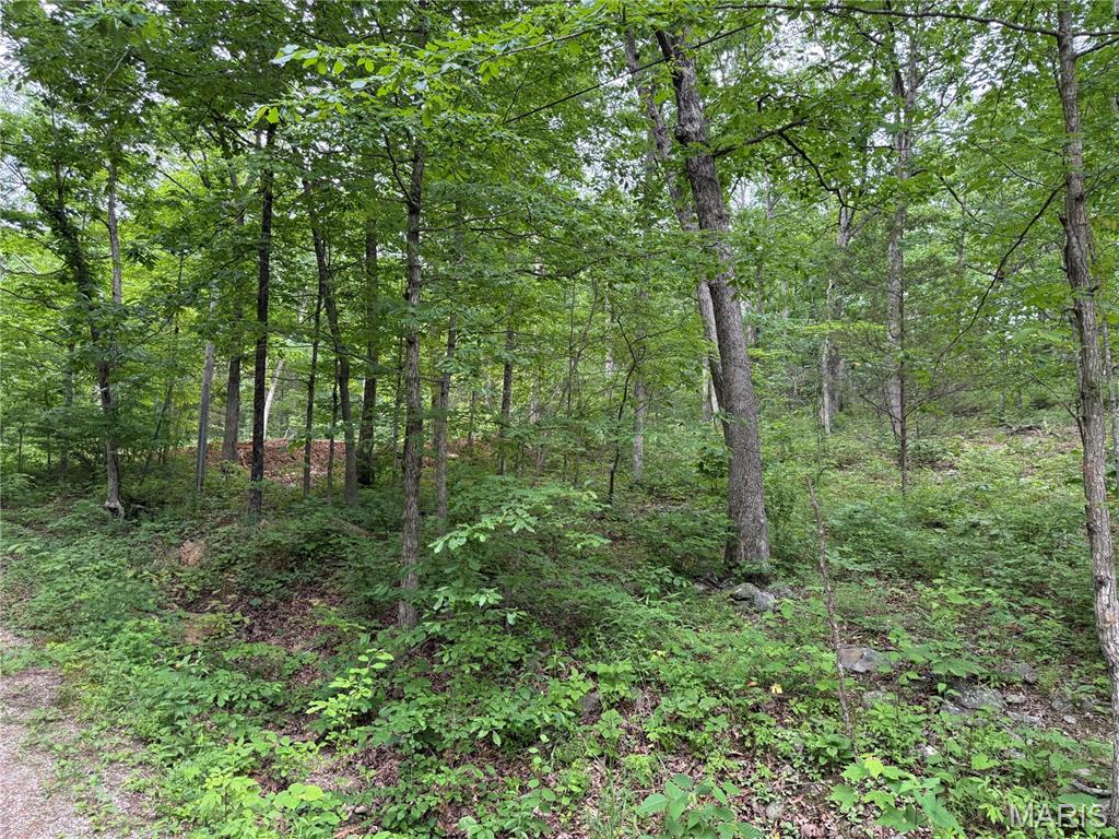 Snow Hollow Lake Subdivison - Land