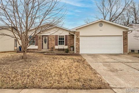 2912 Dividend Park Drive St Louis MO 63031