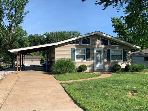 Photo of 4115 Pasco Drive, St Louis, MO 63129 (MLS # 25074590)