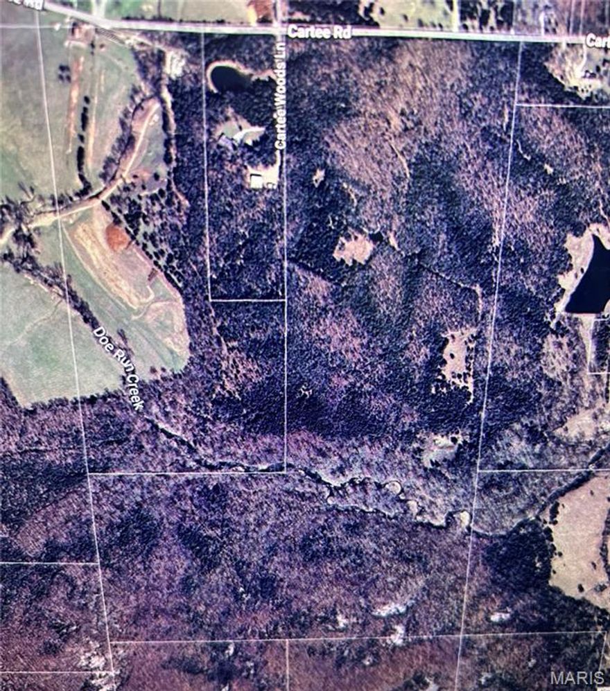 160 +/- acres of land that's perfect for hunting! There are no restrictions. Located off a paved road with established homes in the area.  Creek runs around the property. Large granted boulders are located near the rear of the property. Deer and of course all types of wildlife live there as well. You won't want to miss this opportunity to own your own forest. A place that gives you various uses rather it be to keep in it's raw state or develop into what ever you desire. You can build a home that can give many memories to come with your family or buy with friends and enjoy yourselves. Call today to get a tour of this very rare opportunity!