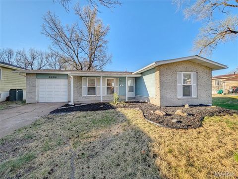 Photo of 8835 Sumter Drive, St Louis, MO 63136 (MLS # 26017101)