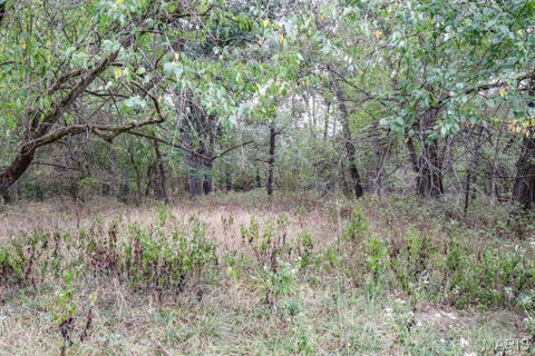 Tiny photo for 000-2 Sunny Side Lane, New London, MO 63459 (MLS # 26062696)