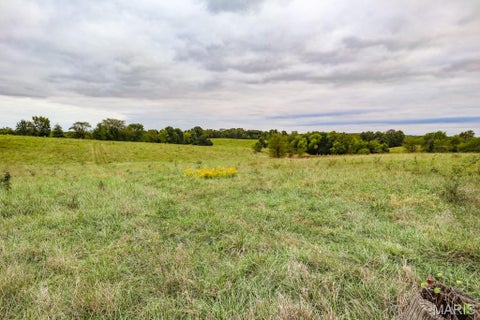 Tiny photo for 000-2 Sunny Side Lane, New London, MO 63459 (MLS # 26062696)