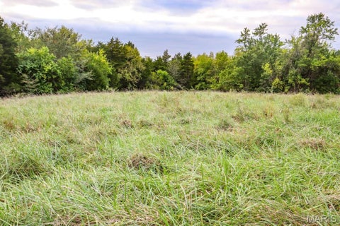 Tiny photo for 000-2 Sunny Side Lane, New London, MO 63459 (MLS # 26062696)