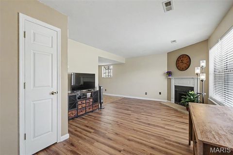 Tiny photo for 2523 Wyaconda Court, Fenton, MO 63026 (MLS # 26030540)