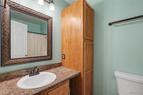 Tiny photo for 2523 Wyaconda Court, Fenton, MO 63026 (MLS # 26030540)