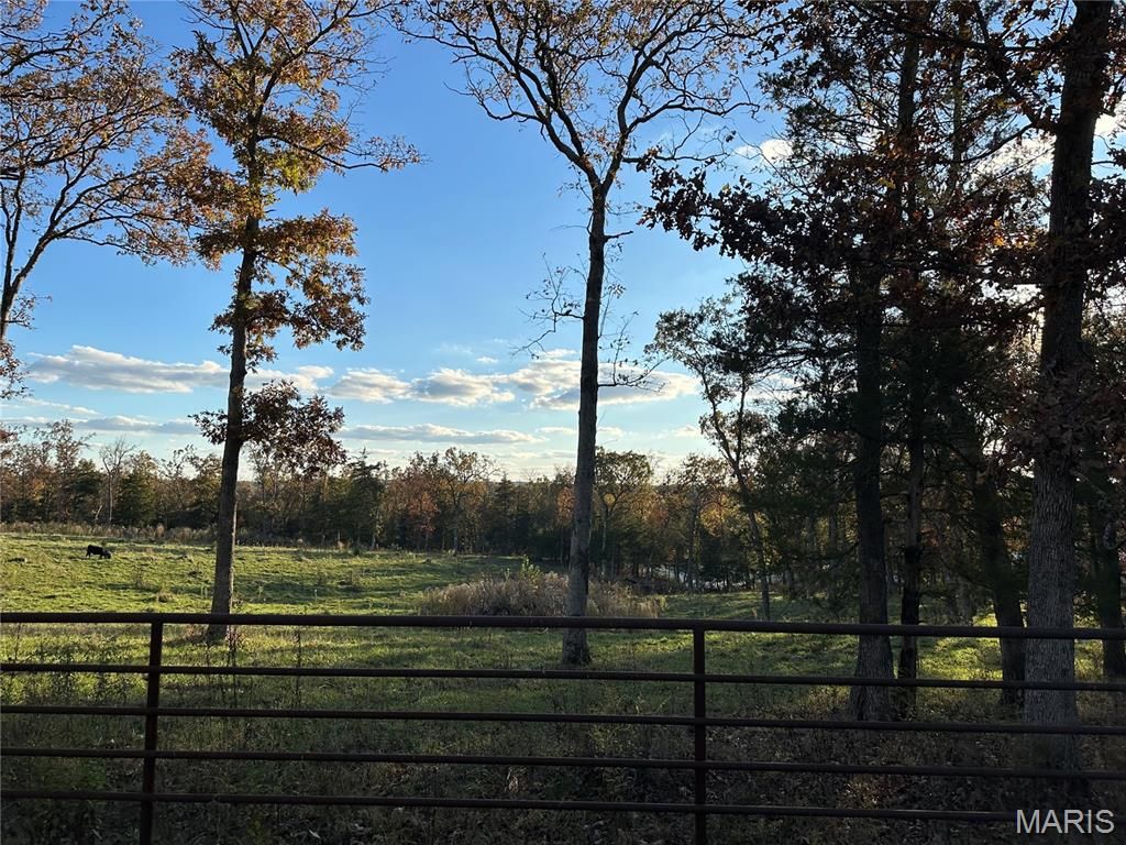 Photo of 1867 Hecker Road, Owensville, MO 65066 (MLS # 25073751)