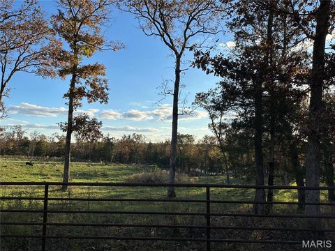 Photo of 1867 Hecker Road, Owensville, MO 65066 (MLS # 25073751)