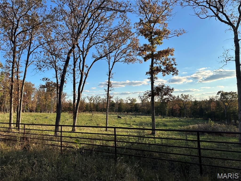 Photo of 1867 Hecker Road, Owensville, MO 65066 (MLS # 25073751)