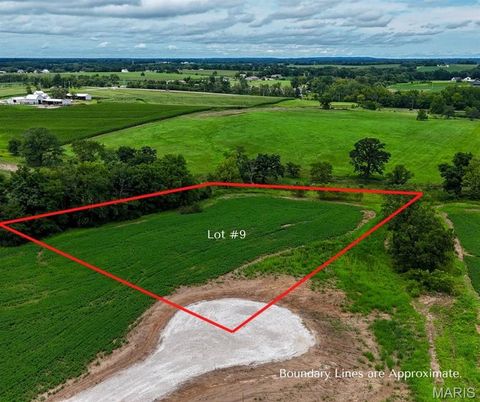 251 Autumn Hallow Ct Old Monroe MO 63369